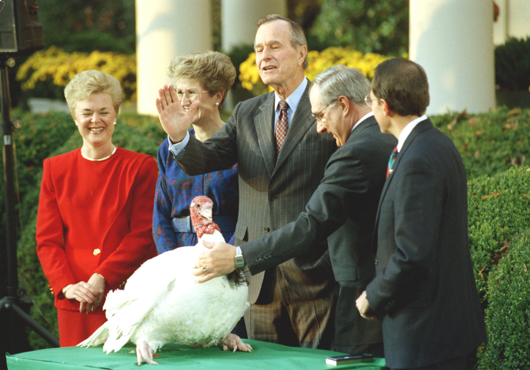 Bush turkey pardon, 1991